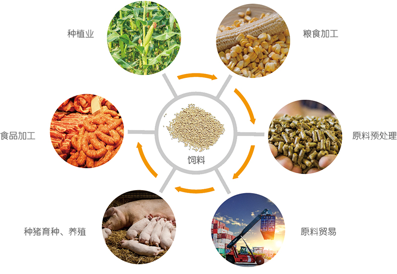 谷實生物(wù)集團股份有(yǒu)限公(gōng)司 谷實生物(wù)集團股份有(yǒu)限公(gōng)司