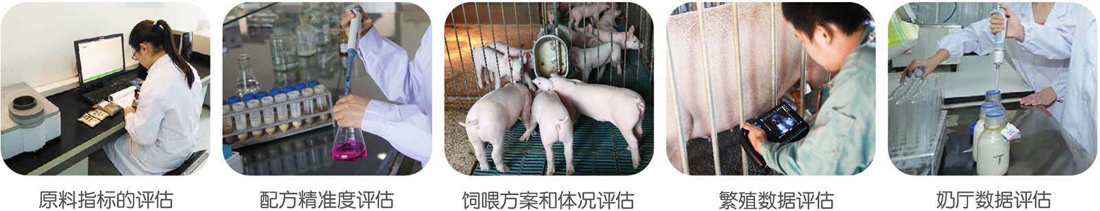 谷實生物(wù)集團股份有(yǒu)限公(gōng)司 谷實生物(wù)集團股份有(yǒu)限公(gōng)司